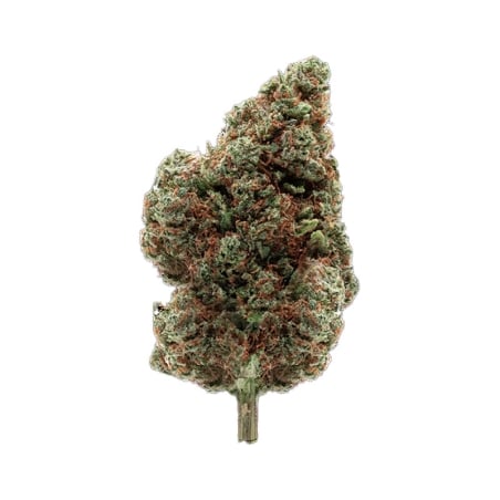 Fleurs Vrac THV-N10 God Father USA GH+ - Le CBD Discount pas cher