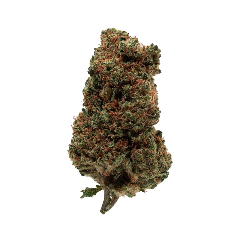 Fleurs Vrac THV-N10 Fruit Spirit GH - Le CBD Discount pas cher