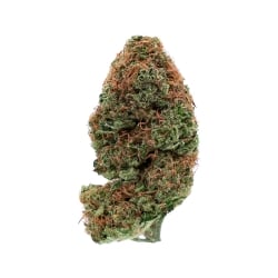 Fleurs Vrac THCX Banana Skittlez Indoor - Le CBD Discount pas cher
