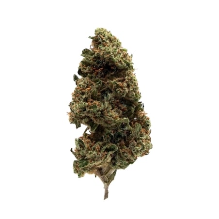 Fleurs Vrac THCX Acapulco GH - Le CBD Discount pas cher