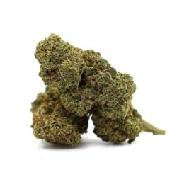 Fleurs CBD Vrac L'Asté'Weed V2 - Le CBD Discount pas cher