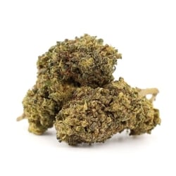 Fleurs CBD Vrac L'Intouchable - Le CBD Discount pas cher
