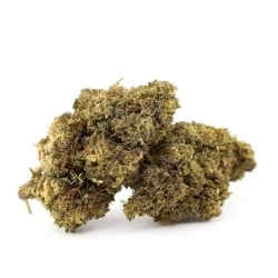 Fleurs CBD Vrac La Ch'ti Tropical - Le CBD Discount pas cher