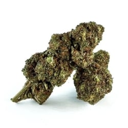 Fleurs CBD Vrac La Marianne OG - Le CBD Discount pas cher