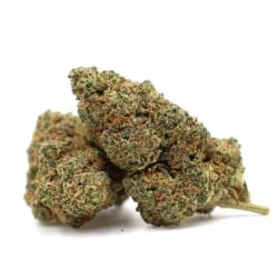 Fleurs CBD Vrac L'Obeuh'Lix - Le CBD Discount pas cher