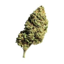 Fleurs Vrac 10 OH Magic Dunk - Le CBD Discount pas cher
