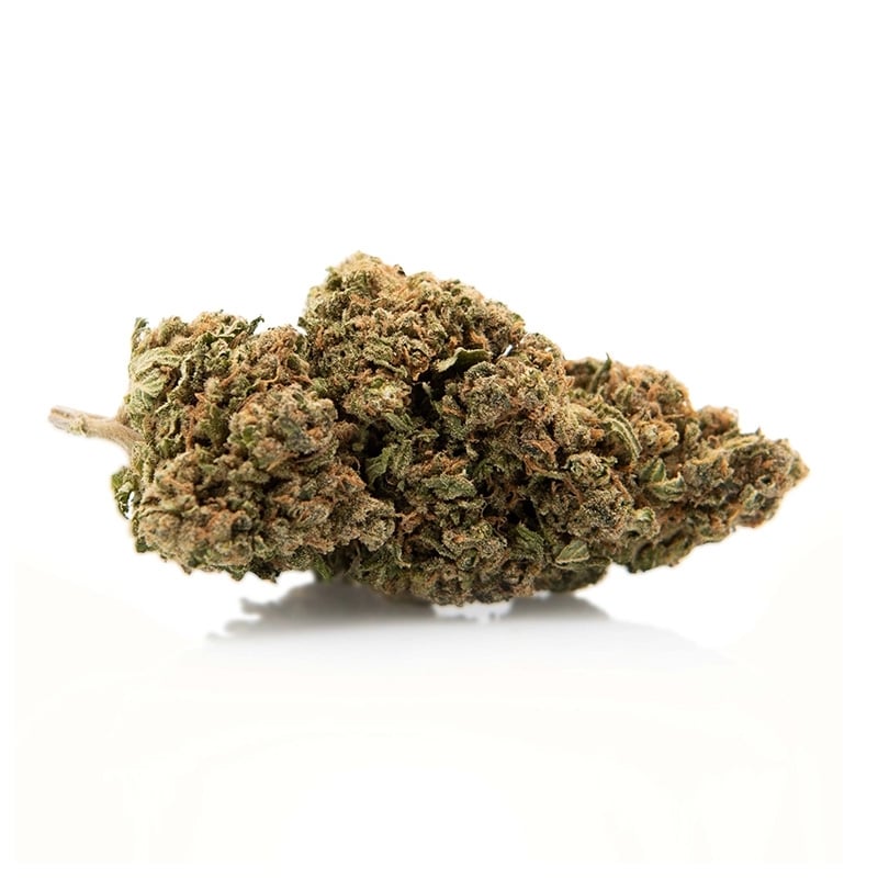 Fleurs Vrac 10 OH Breaking Haze - Le CBD Discount pas cher