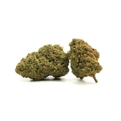 Fleurs Vrac THV-N10 Crystal + - Le CBD Discount pas cher