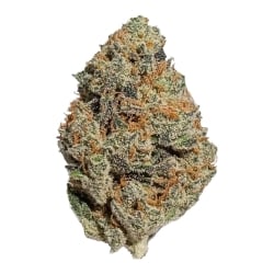 Fleurs Vrac CBC Jelly Donuts Hydro USA - Le CBD Discount pas cher