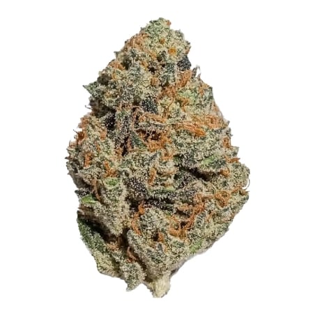 Fleurs Vrac CBC Jelly Donuts Hydro USA - Le CBD Discount pas cher