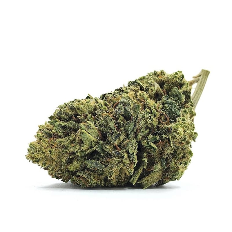 Fleurs Vrac CBC Barracuda USA - Le CBD Discount pas cher