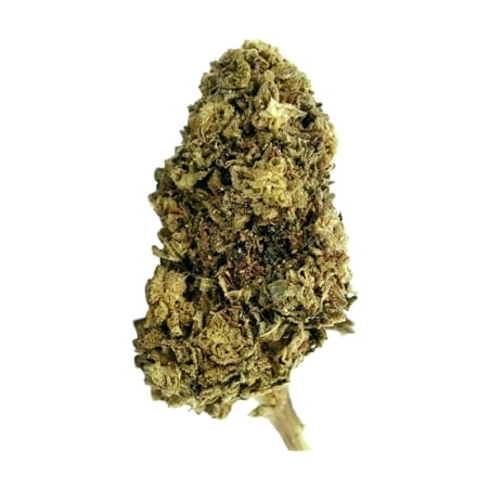 Fleurs Vrac THV-N10 Weedeinberg GH - Le CBD Discount pas cher