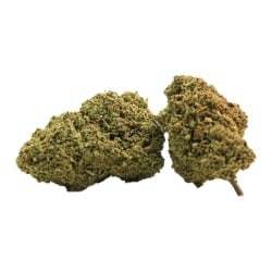 Fleurs CBD Vrac L'olympienne GH - Le CBD Discount pas cher