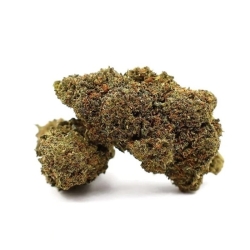 Fleurs Vrac D10 Starface - Le CBD Discount pas cher