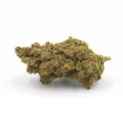 Fleurs CBD Vrac Cali Octane USA Indoor Hydroponie Californienne - Le CBD Discount pas cher