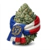 Fleurs CBD Vrac France GH - Le CBD Discount pas cher