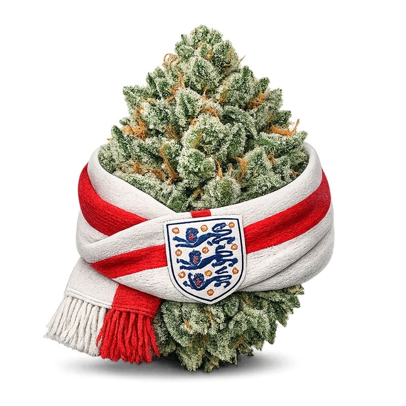 Fleurs CBD Vrac Angleterre GH - Le CBD Discount pas cher