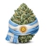 Fleurs CBD Vrac Argentine GH - Le CBD Discount pas cher