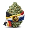 Fleurs CBD Vrac Belgique GH - Le CBD Discount pas cher