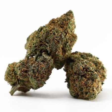 Fleurs Vrac D10 Donny Burger - Le CBD Discount pas cher