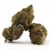 Fleurs Vrac D10 Donny Burger - Le CBD Discount pas cher