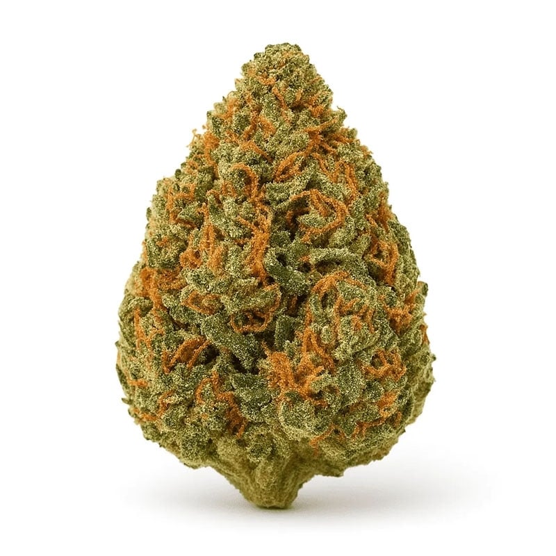 Fleur de CBD Apple fritter GH pas cher – Saveurs et détente intense | Le CBD Discount - 1,68 €