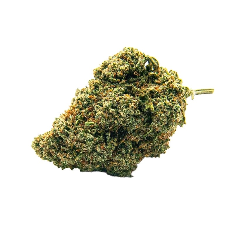Fleurs Vrac THV-N10 Spider Kush GH - Le CBD Discount pas cher