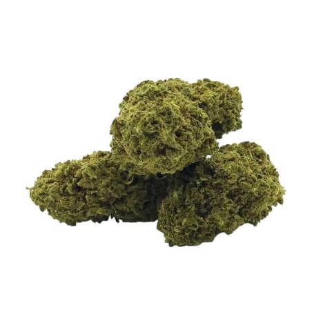 Fleurs Vrac THV-N10 Garry Payton GH - Le CBD Discount pas cher