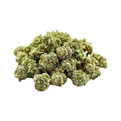 Small Buds Vrac THCX Gelato Cream - Le CBD Discount pas cher