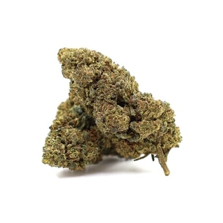 Fleurs Vrac D10 Tinky Winky - Le CBD Discount pas cher