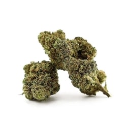 Fleurs Vrac D10 Chupacabra - Le CBD Discount pas cher
