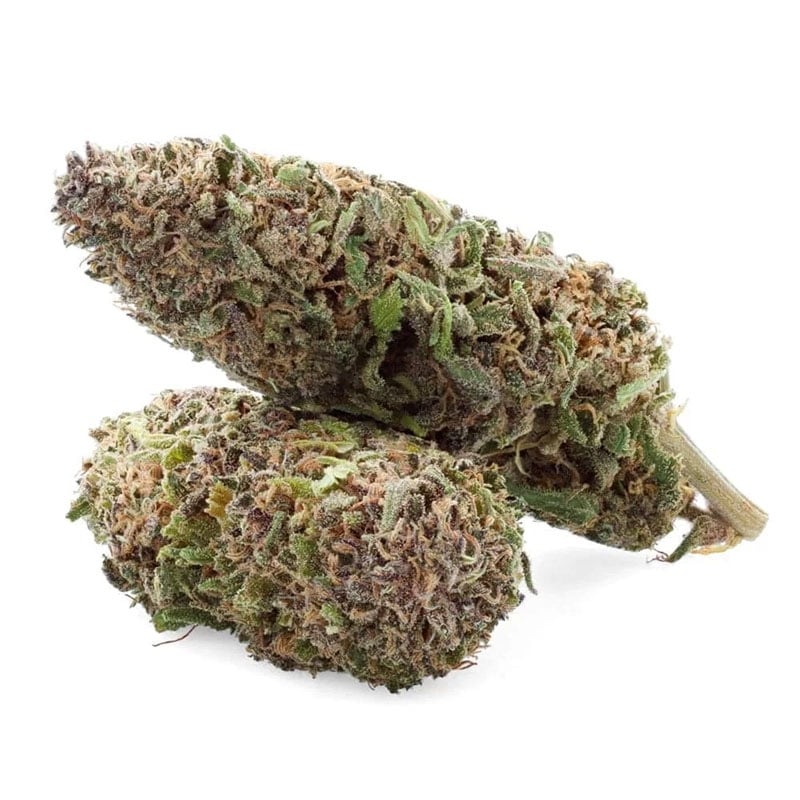 Fleurs Vrac NL-1 Bogota Hemp - Le CBD Discount pas cher