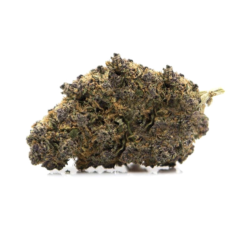 fleur CBC R9
