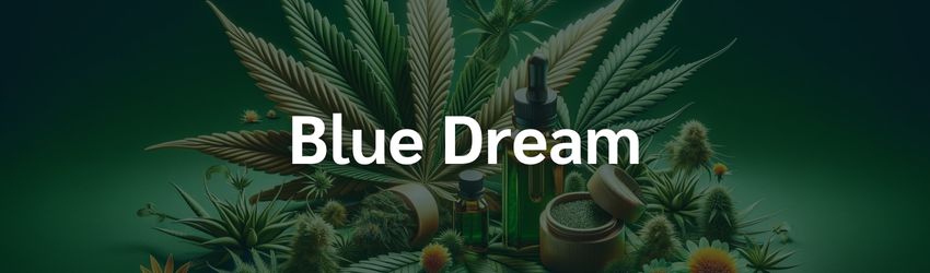 blue dream cbd 