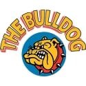 The Bulldog