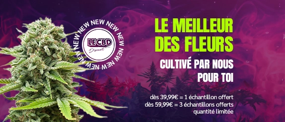 le cbd discount lance ses propres fleurs !