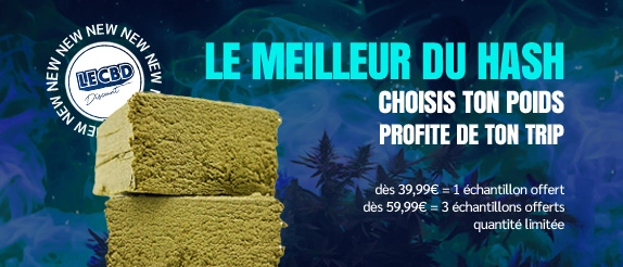 lancement résines le cbd discount