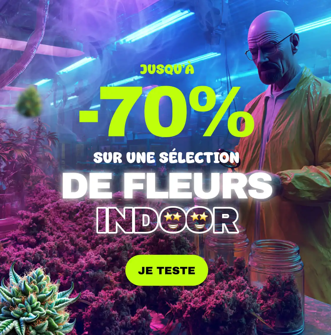 fleurs-indoor
