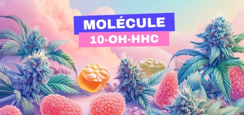 10-OH-HHC : un cannabinoïde qui fait grand bruit ! 