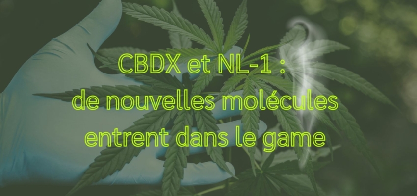 CBDX & NL-1 : les nouvelles molécules dans le game du CBD Discount