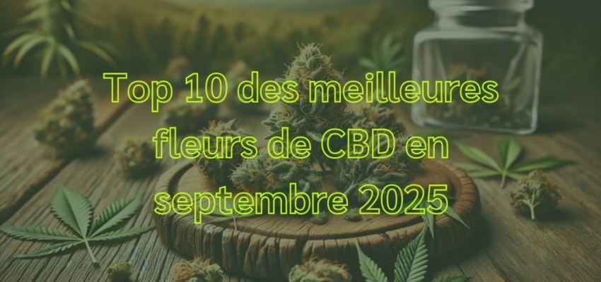 Top 10 des meilleures fleurs de CBD en septembre 2025