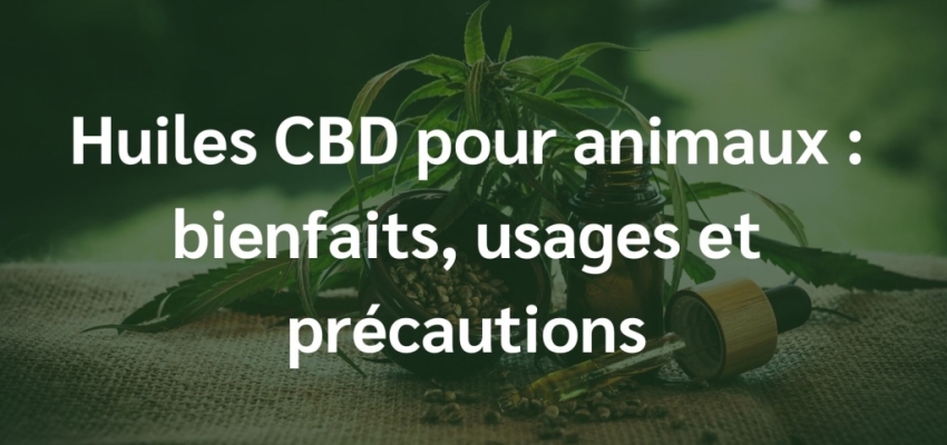 Huiles de CBD pour animaux : bienfaits, usages et précautions
