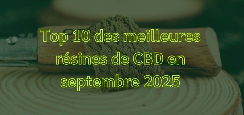 Top 10 des meilleures résines de CBD en septembre 2025