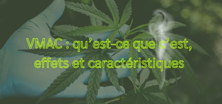 VMAC : qu’est-ce que c’est, effets et caractéristiques