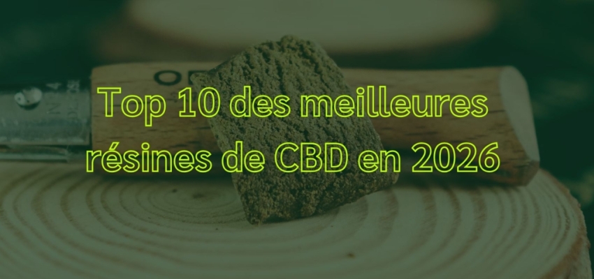 Top 10 des meilleures résines de CBD en 2026
