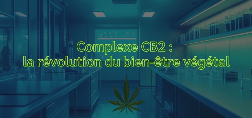 Complexe CB2 : la révolution du bien-être végétal après l’ère du CBD ?