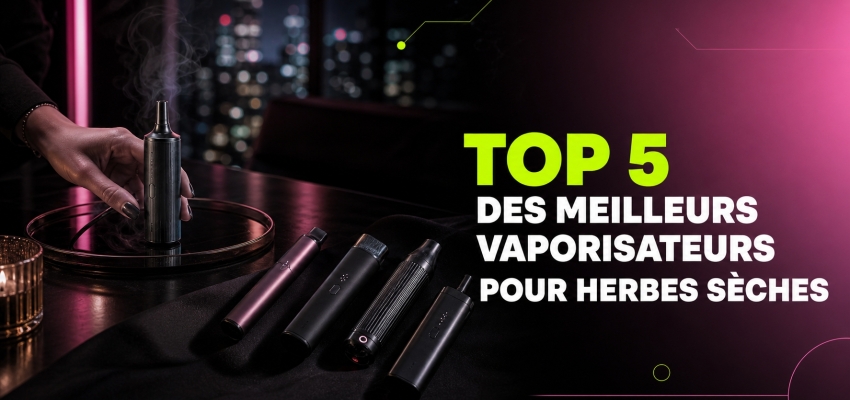 Top 5 des meilleurs vaporisateurs pour herbes sèches en 2026