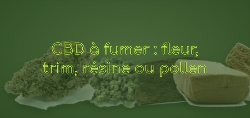 CBD à fumer : fleur, trim, résine ou pollen, que choisir ?