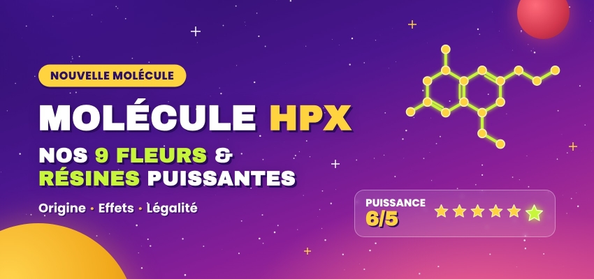 Molécule HPX : présentation et nos 9 fleurs & résines puissantes