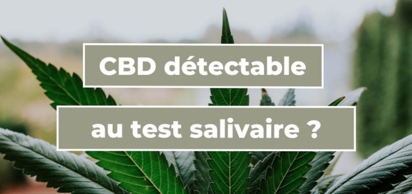 CBD détectable au test salivaire ?
